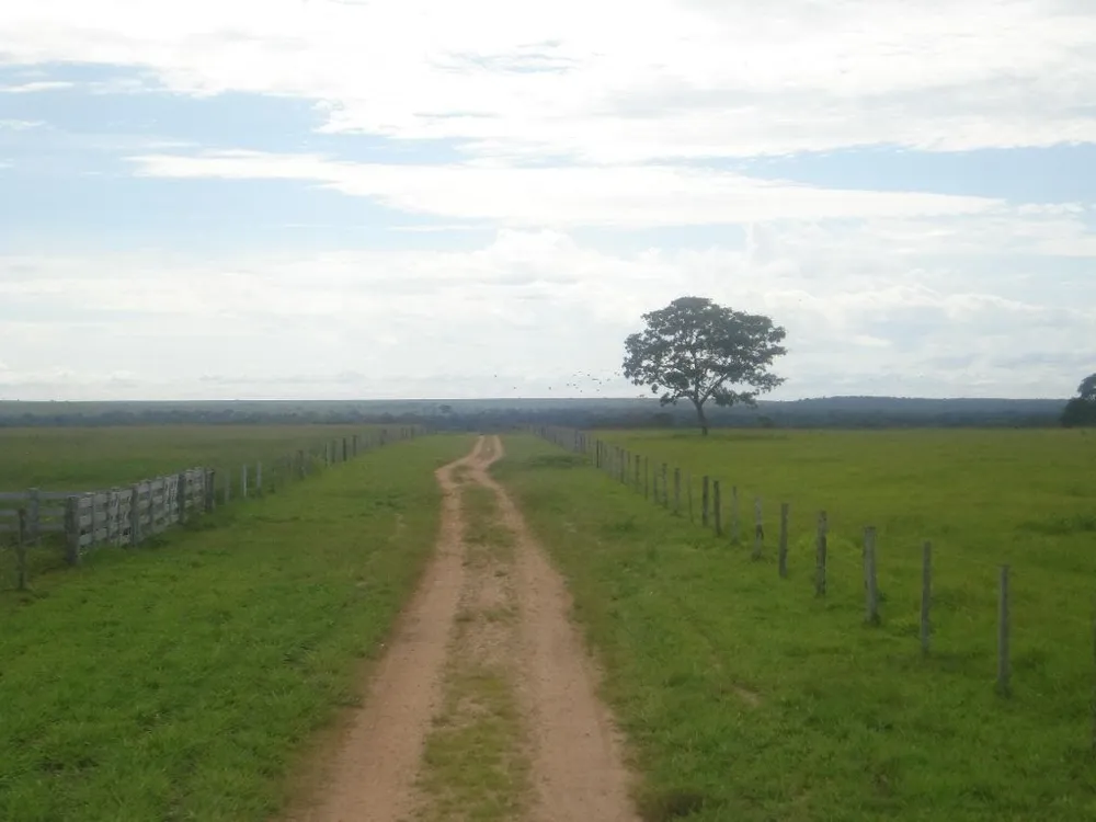 Fazenda, 2 hectares - Foto 1