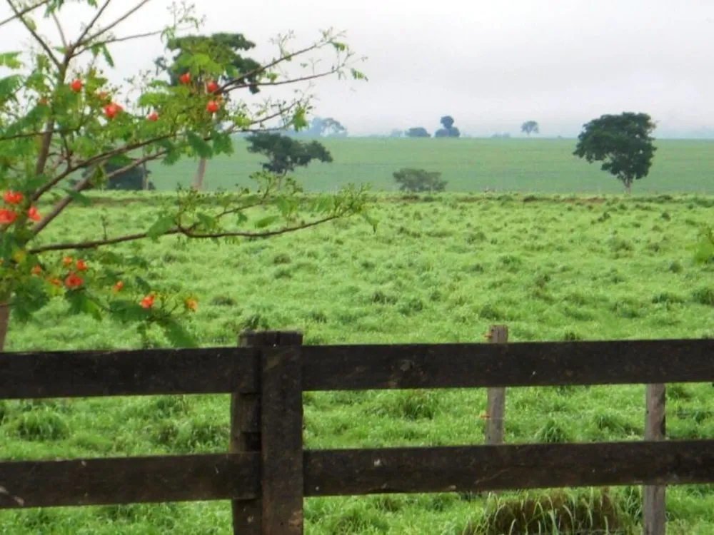 Fazenda, 2 hectares - Foto 3