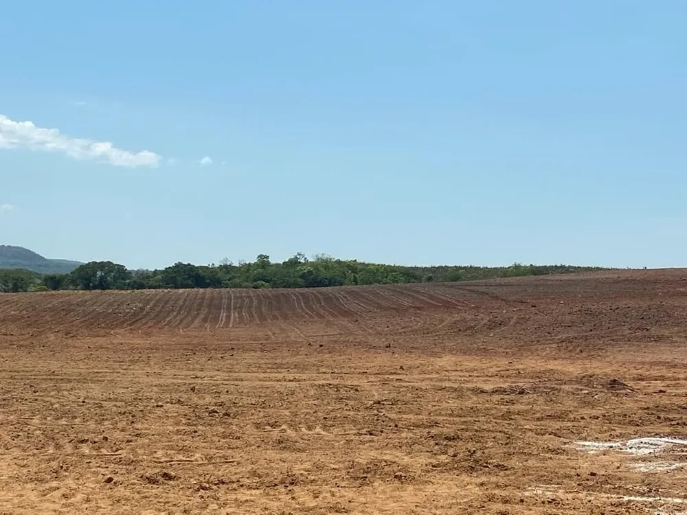 Fazenda, 3000 hectares - Foto 3