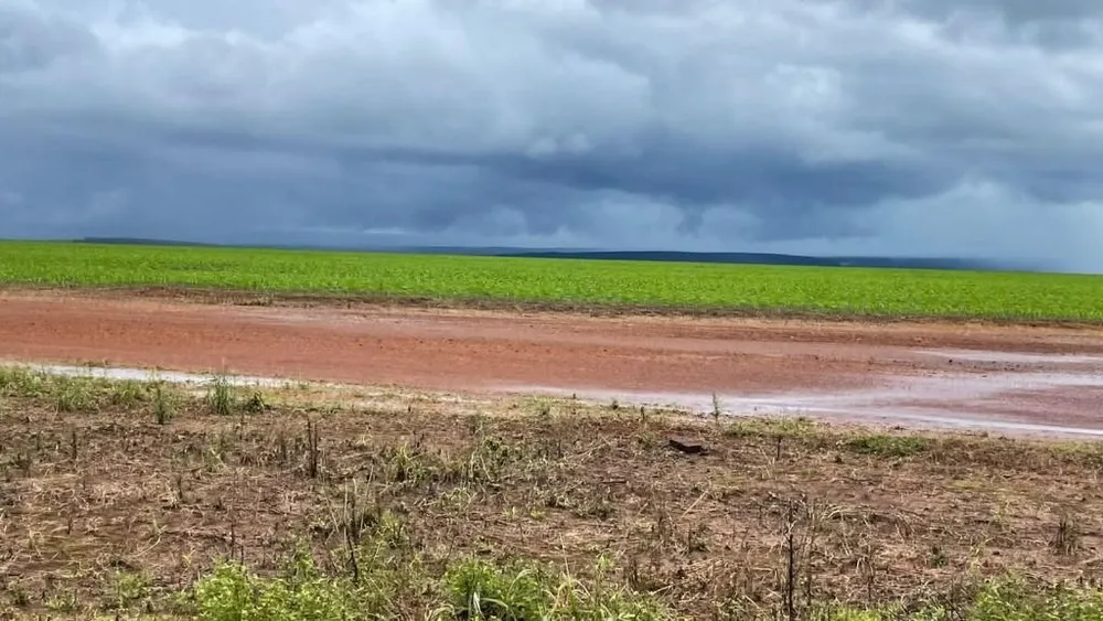 Fazenda, 6790 hectares - Foto 4