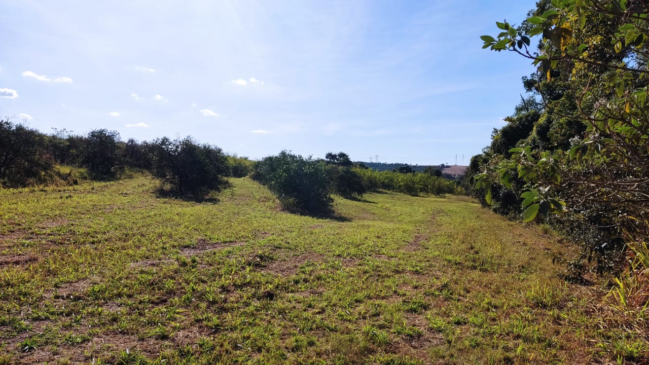 Chácara à venda com 5000 quartos, 5000m² - Foto 8