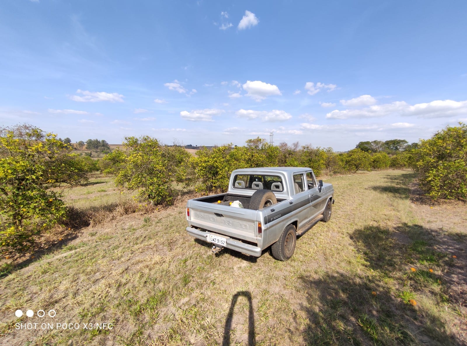 Chácara à venda com 5000 quartos, 5000m² - Foto 1