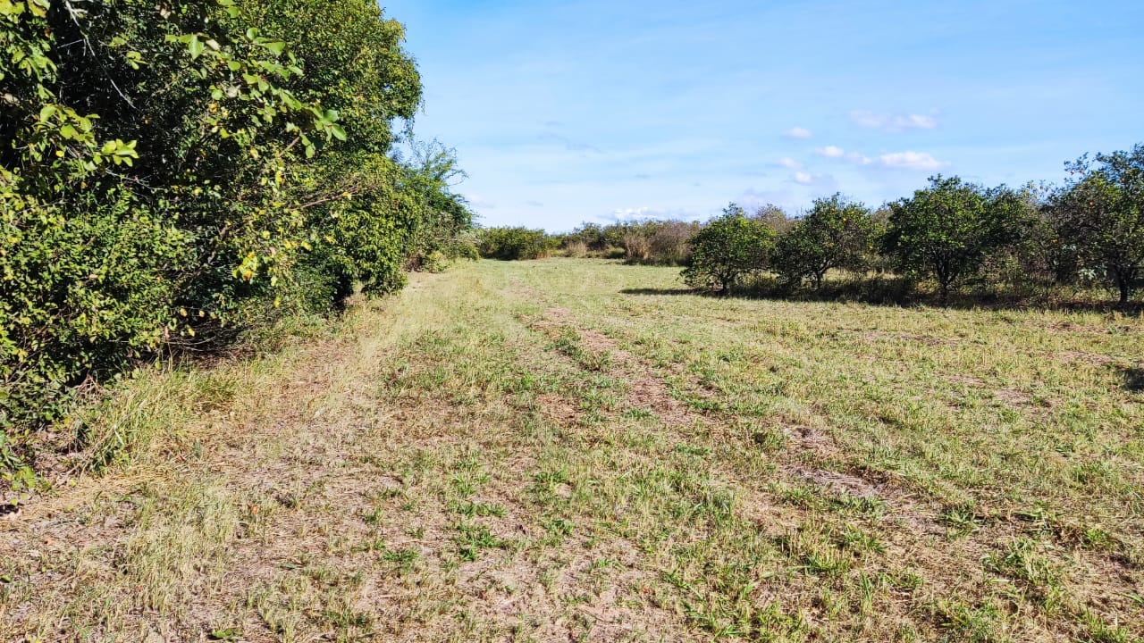 Chácara à venda com 5000 quartos, 5000m² - Foto 12