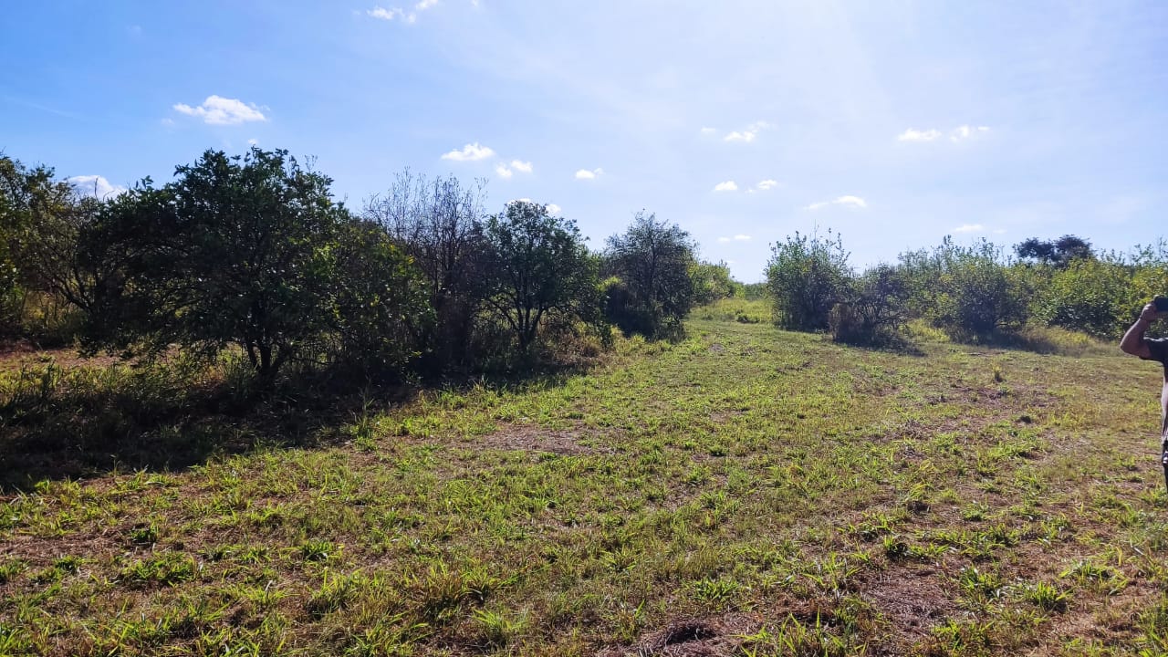 Chácara à venda com 5000 quartos, 5000m² - Foto 3