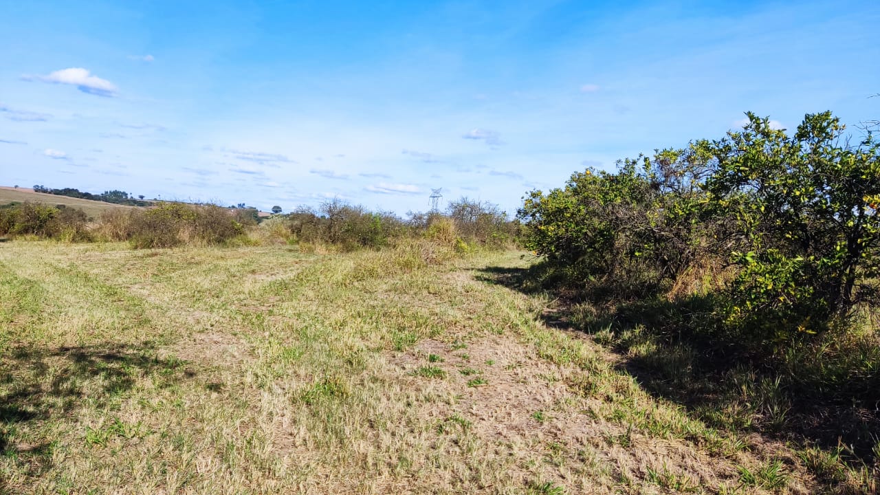 Chácara à venda com 5000 quartos, 5000m² - Foto 15