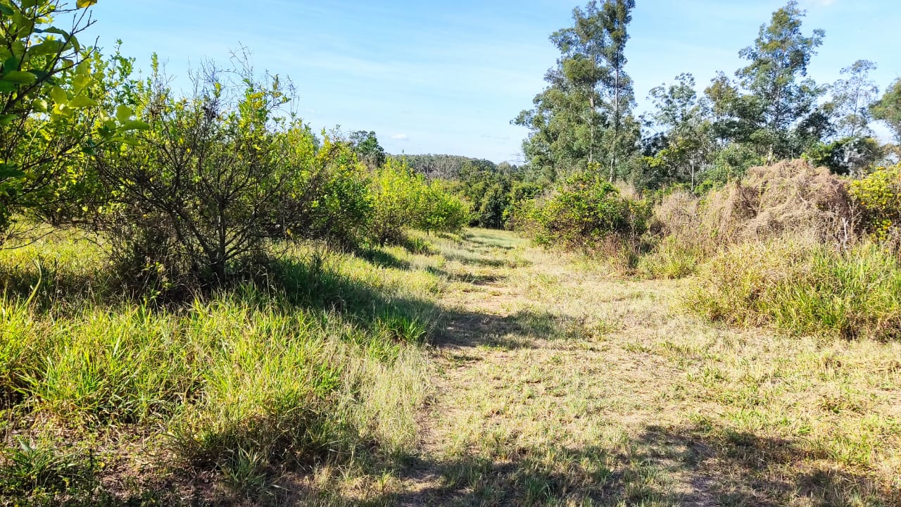 Chácara à venda com 5000 quartos, 5000m² - Foto 5