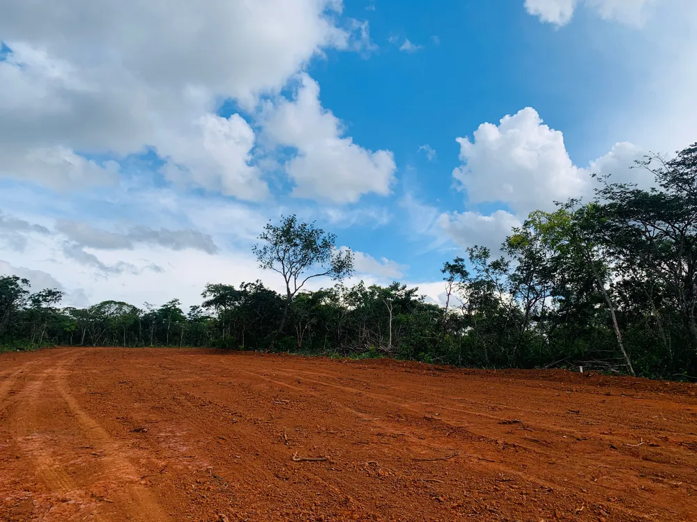 Terreno, 360 m² - Foto 12