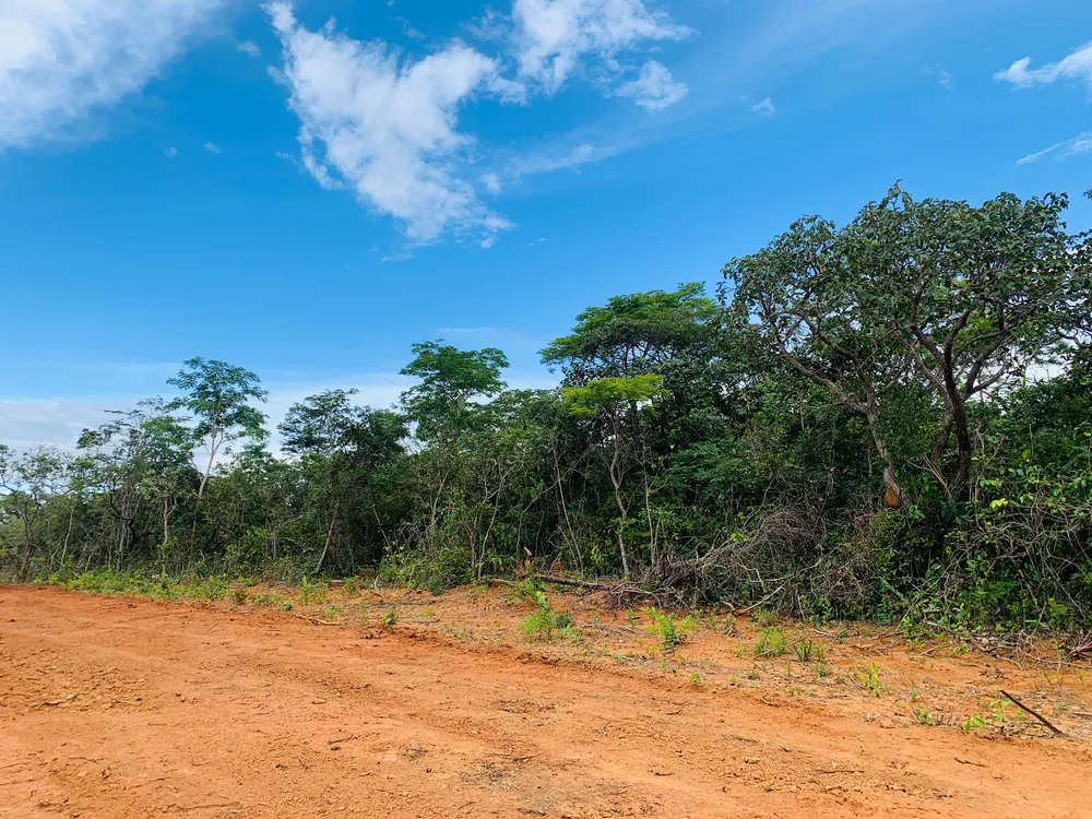 Terreno, 360 m² - Foto 16