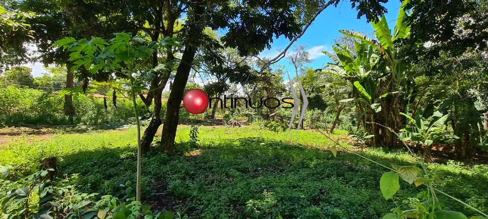 Terreno, 480 m² - Foto 3