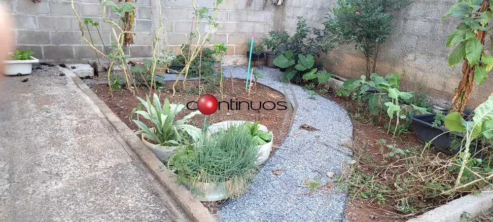 Casa, 3 quartos - Foto 12