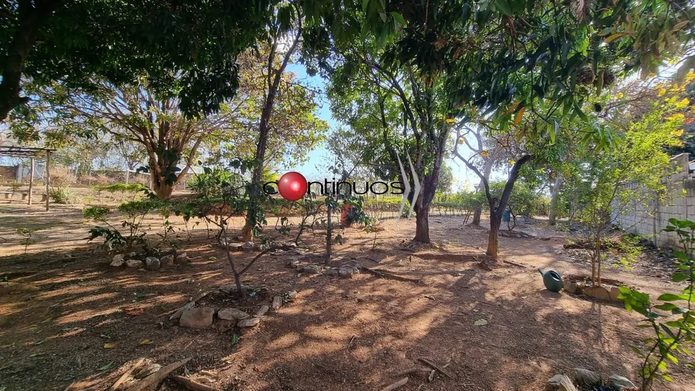 Terreno, 3354 m² - Foto 6