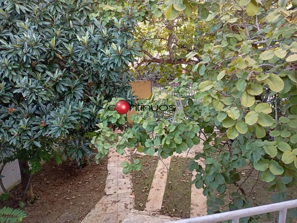 Casa, 3 quartos, 255 m² - Foto 15