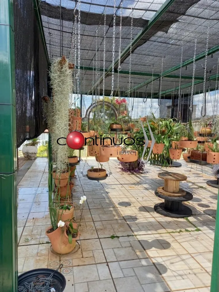 Casa, 4 quartos, 600 m² - Foto 3
