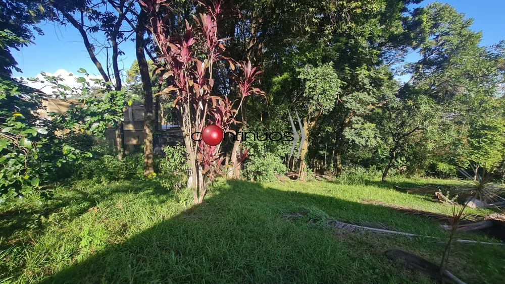 Terreno, 1060 m² - Foto 3
