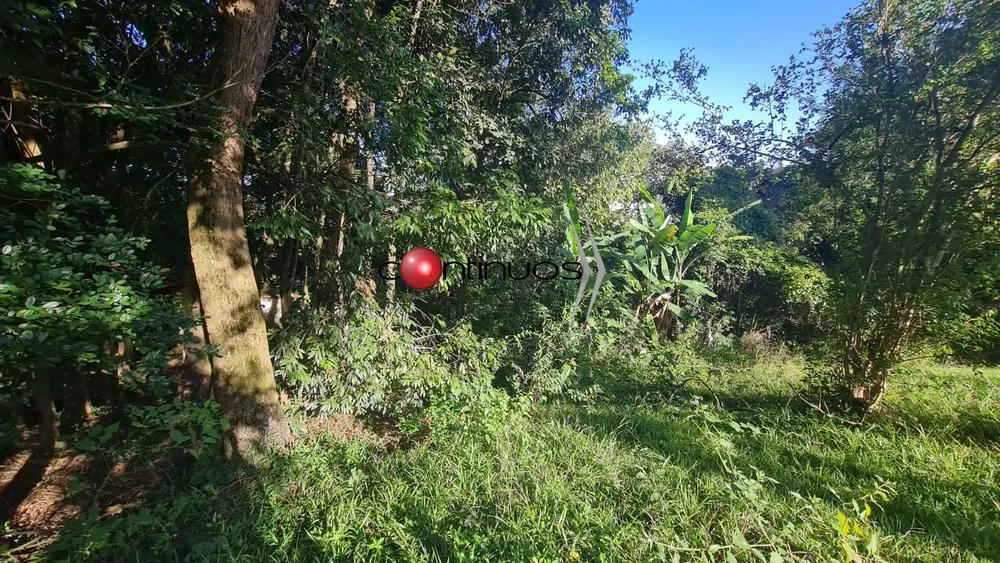 Terreno, 1060 m² - Foto 5