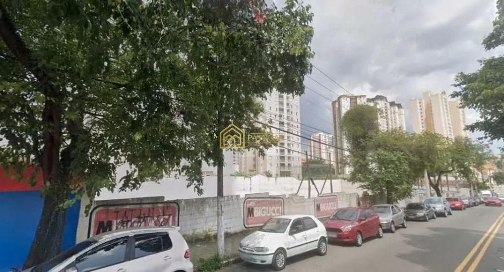 Terreno, 3379 m² - Foto 4