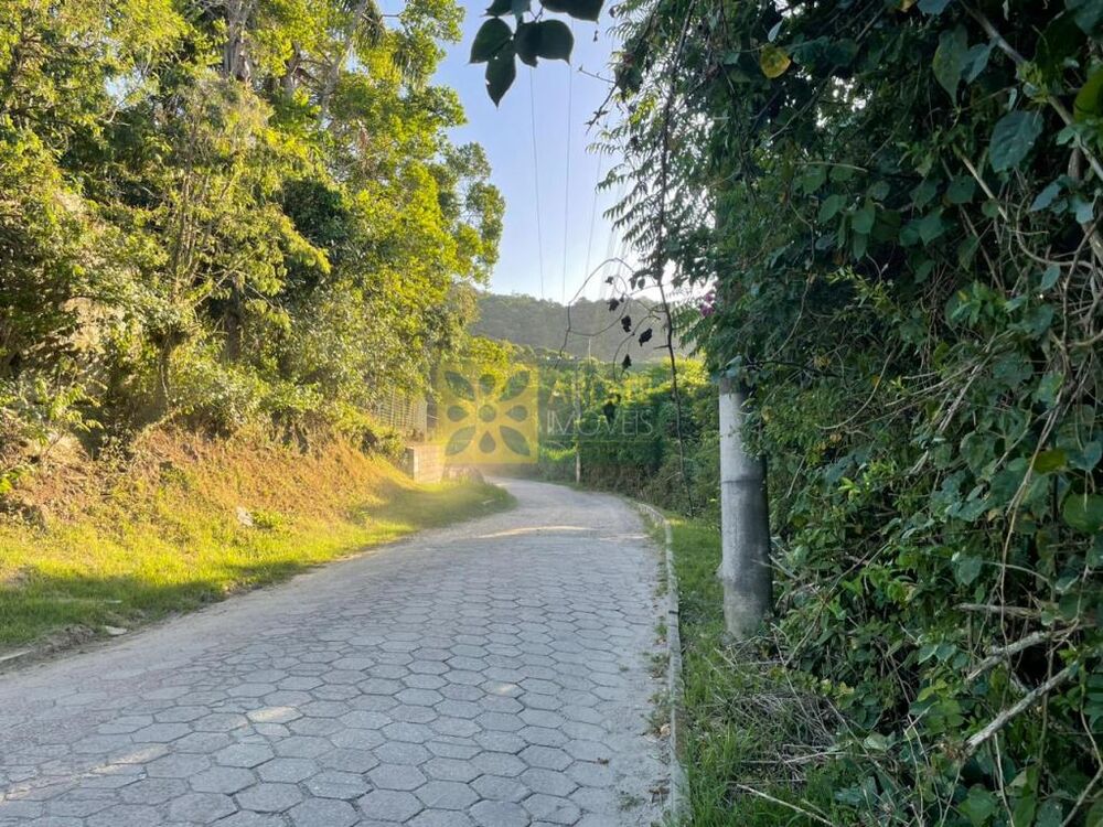 Terreno, 3354 m² - Foto 6
