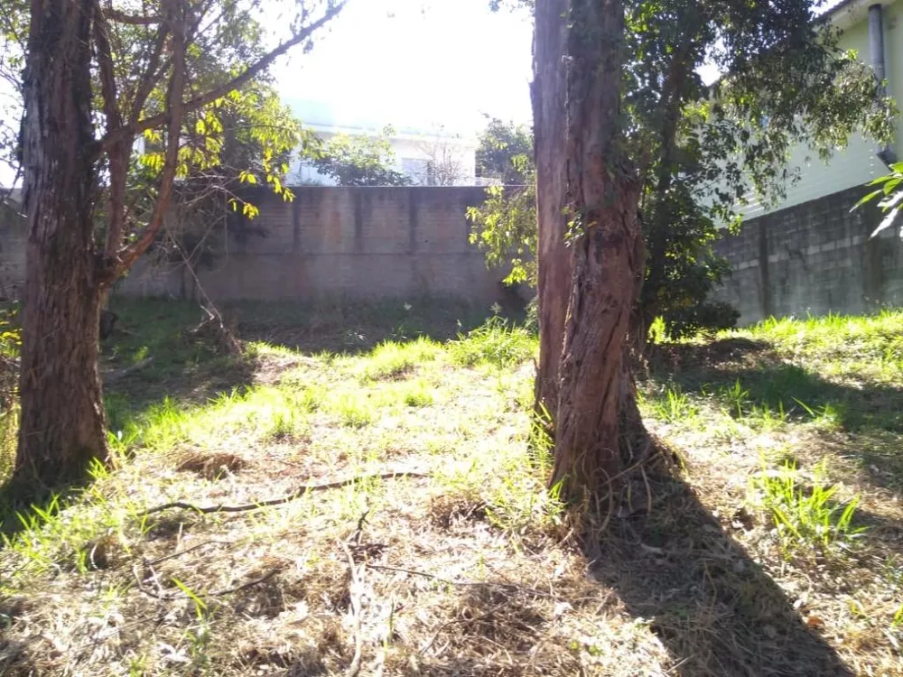 Loteamento e Condomínio, 556 m² - Foto 4