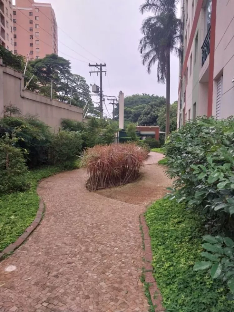 Apartamento, 3 quartos, 65 m² - Foto 12