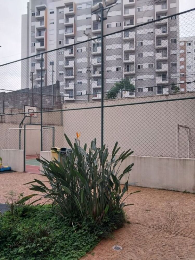 Apartamento, 3 quartos, 65 m² - Foto 13