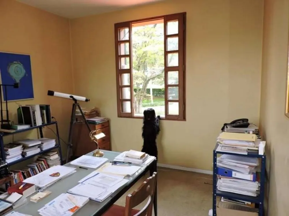 Sobrado, 4 quartos, 443 m² - Foto 12
