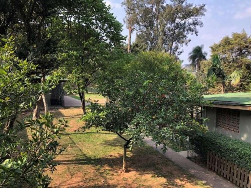 Sobrado, 4 quartos, 800 m² - Foto 8