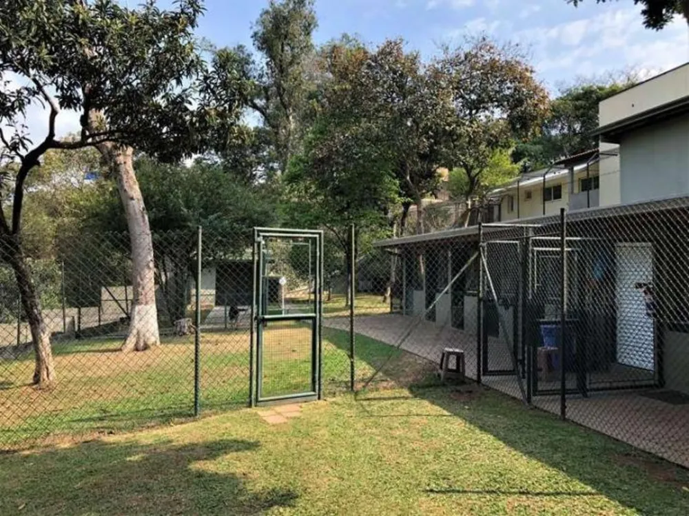 Sobrado, 4 quartos, 800 m² - Foto 18