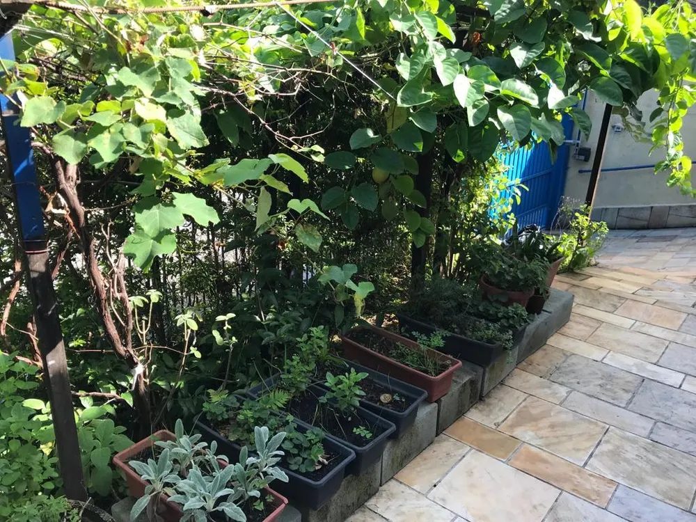 Casa, 3 quartos, 250 m² - Foto 20
