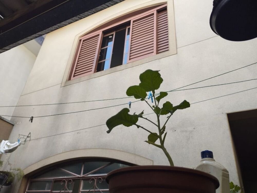 Casa, 3 quartos, 211 m² - Foto 15