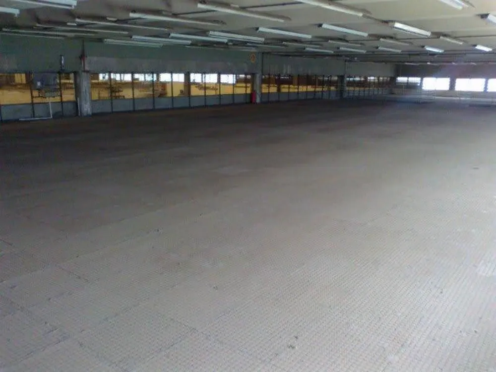 Depósito-Galpão, 6500 m² - Foto 2