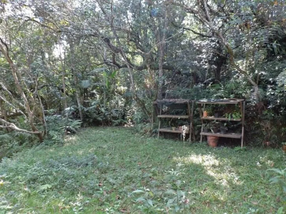 Casa, 3 quartos, 372 m² - Foto 12