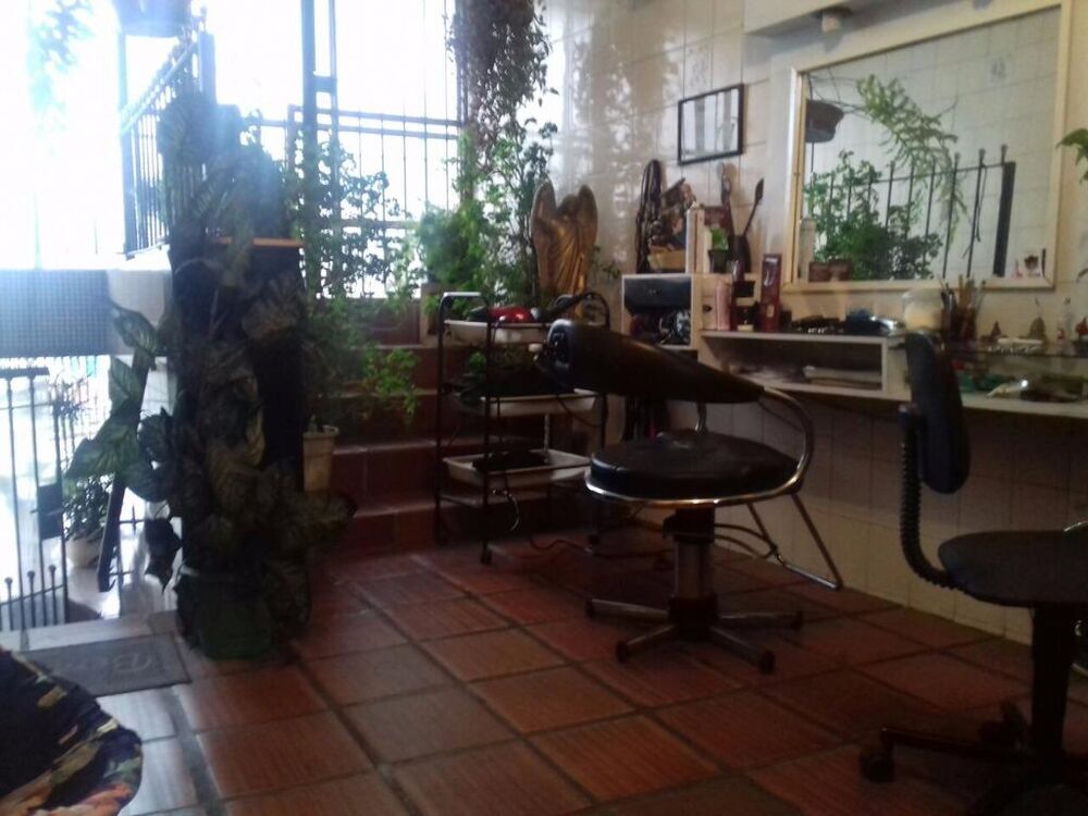 Casa, 4 quartos, 500 m² - Foto 4