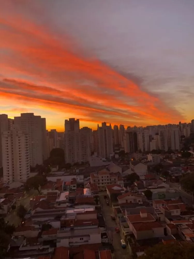 Apartamento, 4 quartos, 206 m² - Foto 12