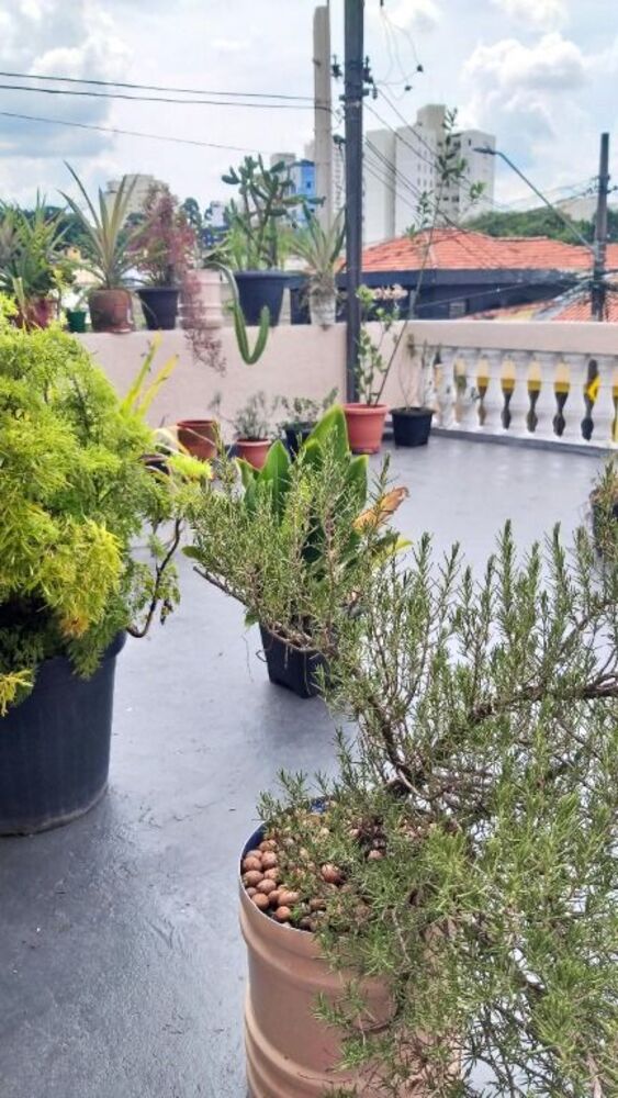 Casa à venda com 2 quartos, 172m² - Foto 4