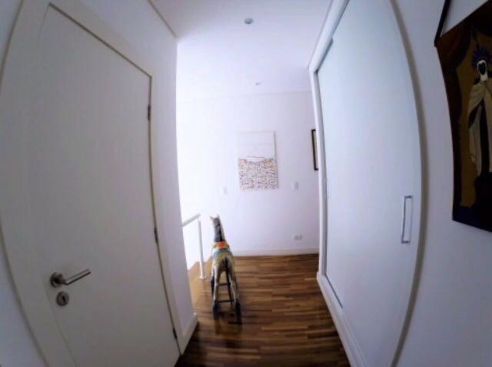 Sobrado, 4 quartos, 350 m² - Foto 20
