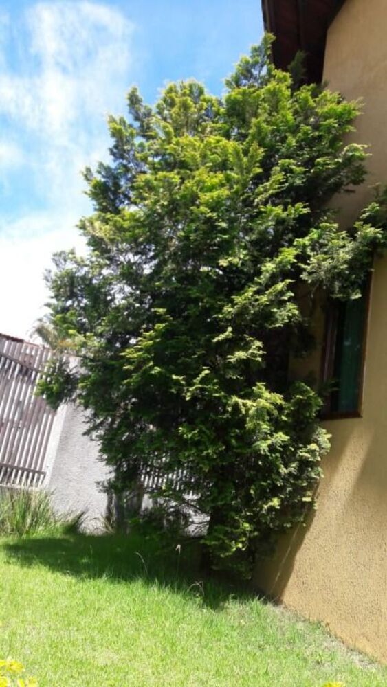Sobrado, 3 quartos, 360 m² - Foto 5