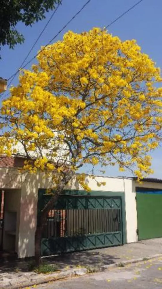 Sobrado, 3 quartos, 400 m² - Foto 2