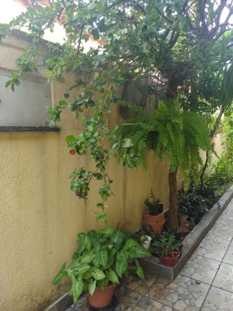Casa, 5 quartos, 210 m² - Foto 6