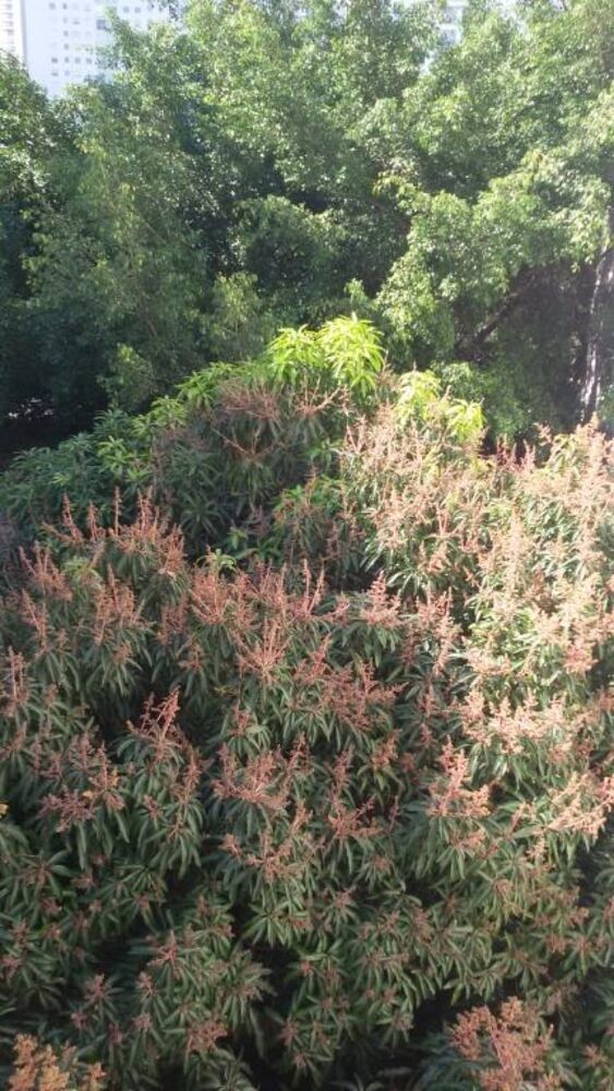 Casa, 3 quartos, 200 m² - Foto 18