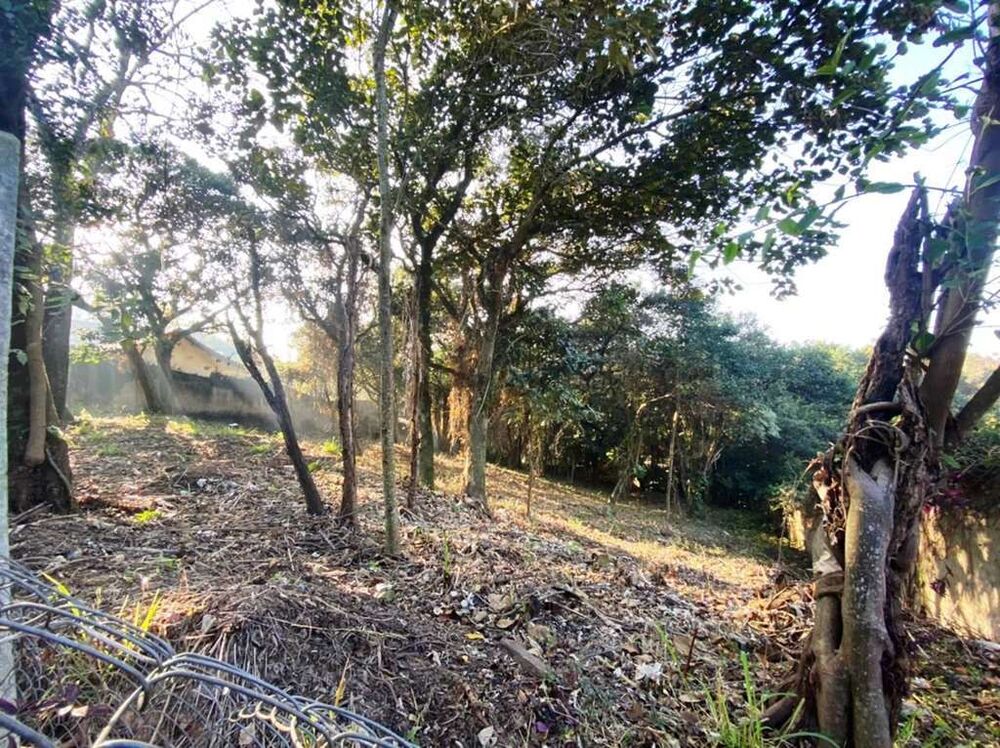 Terreno, 2334 m² - Foto 3