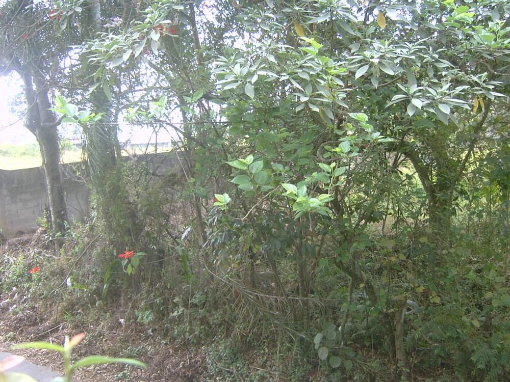 Terreno, 1540 m² - Foto 2