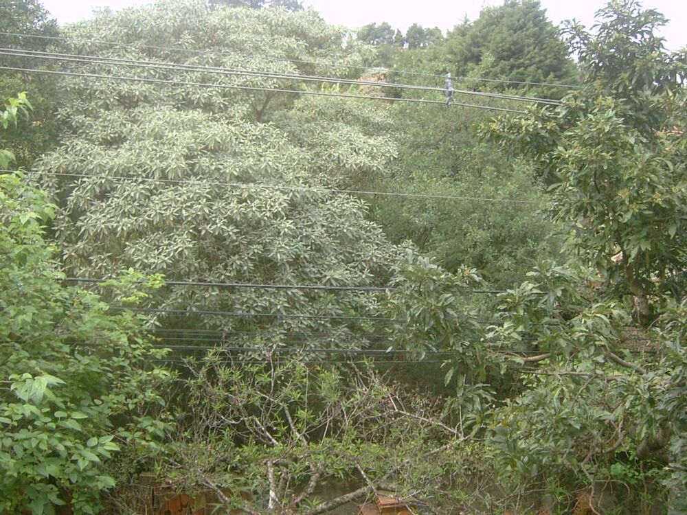 Terreno, 1540 m² - Foto 1