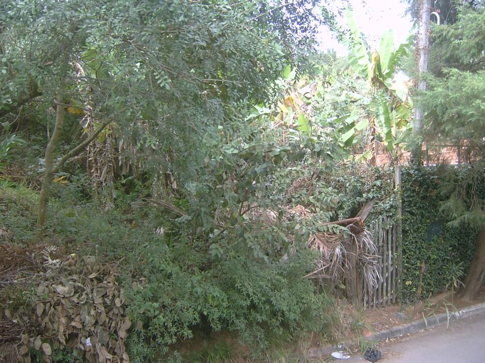 Terreno, 1540 m² - Foto 3
