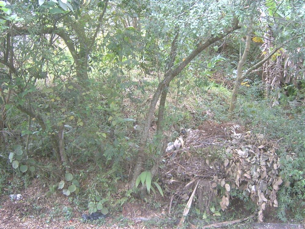 Terreno, 1540 m² - Foto 5
