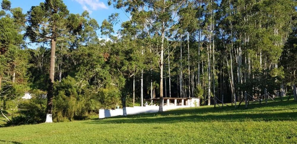 Sítio, 3 quartos, 17 hectares - Foto 4