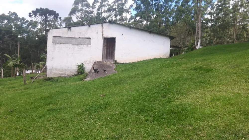 Sítio, 3 quartos, 17 hectares - Foto 16