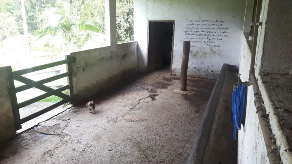 Sítio, 3 quartos, 17 hectares - Foto 12