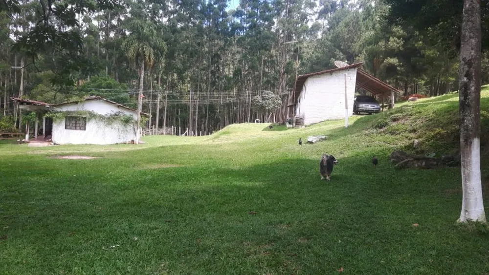 Sítio, 3 quartos, 17 hectares - Foto 11