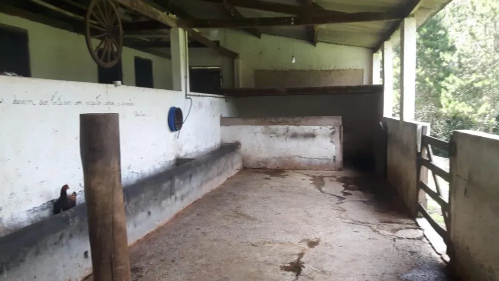 Sítio, 3 quartos, 17 hectares - Foto 10