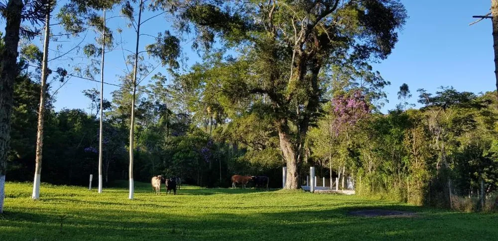 Sítio, 3 quartos, 17 hectares - Foto 5